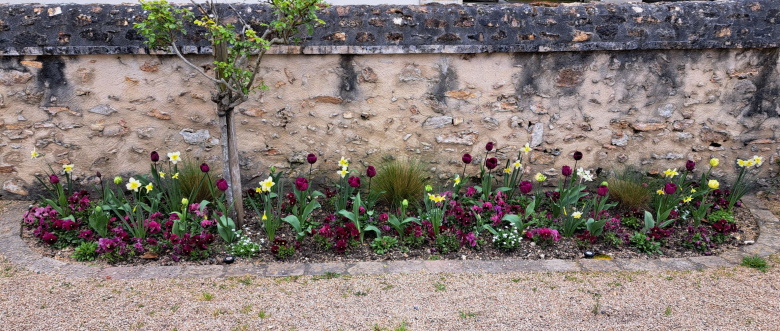 Massif école de musique