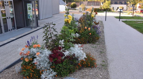 Parterre Cassiopée