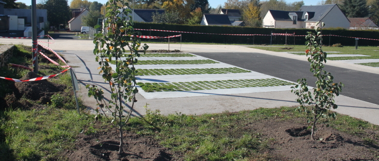 Plantations parking rue du Poitou